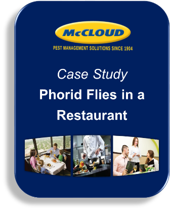 Case Study: Phorid Flies in a Restaurant 