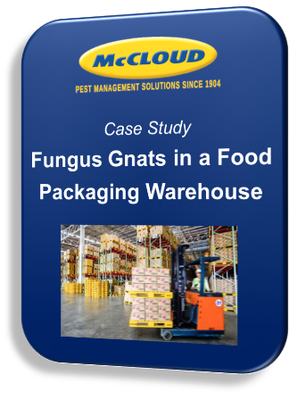 Case Study: Fungus Gnats in a Food Packaging Warehouse 