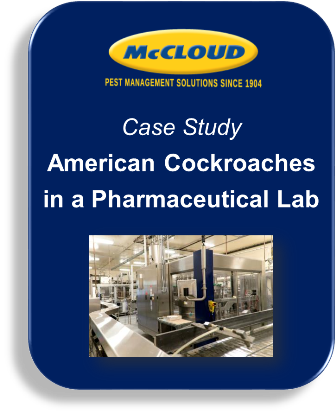 Case Study: American Cockroaches in a Pharmaceutical Lab 