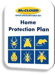 McCloud Services Home Protection Plan 