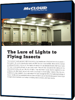 The Lure of Lights to Flying Insects 